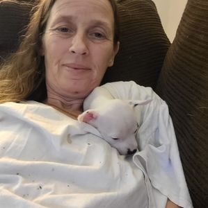 Meet your Posher, Danniella